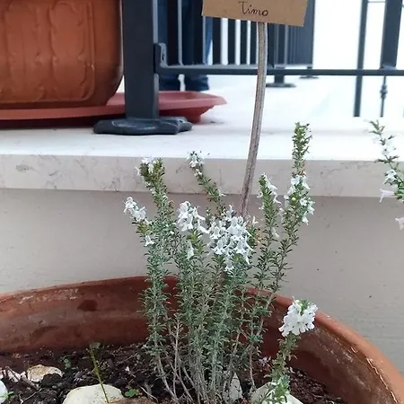 La Casa Di Zizzia * Ostuni